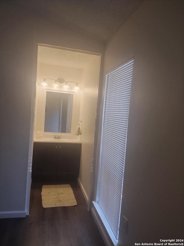 bathroom with wood-type flooring and vanity