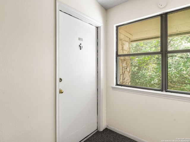 entryway featuring a healthy amount of sunlight and carpet floors