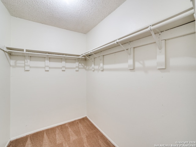 walk in closet featuring carpet flooring