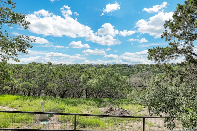 view of local wilderness