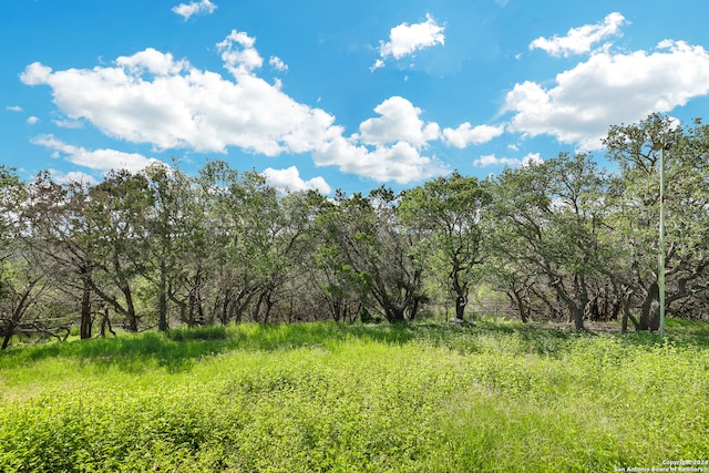 view of nature