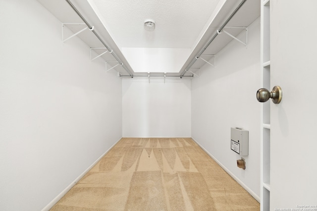 walk in closet featuring light colored carpet