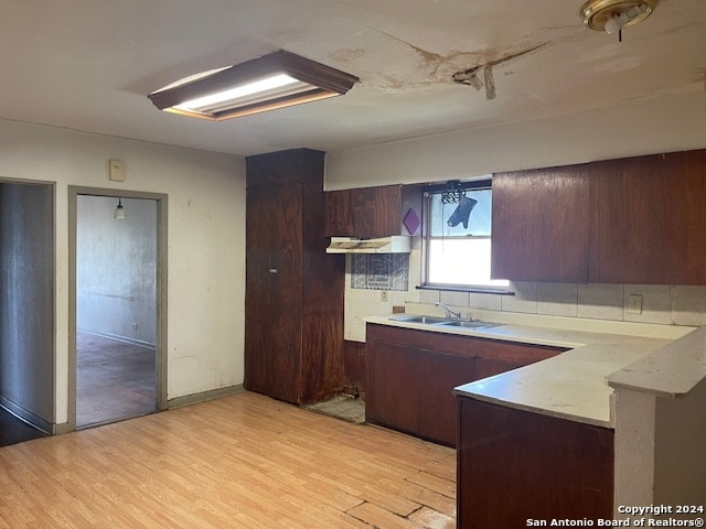 kitchen featuring tasteful backsplash, light hardwood / wood-style floors, dark brown cabinets, and sink