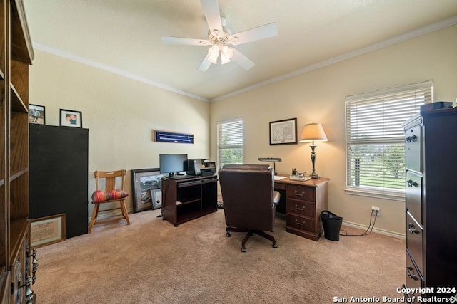 office featuring crown molding, plenty of natural light, and light carpet