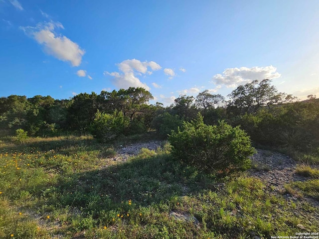 Listing photo 2 for LOT267 County Road 2752, Mico TX 78056