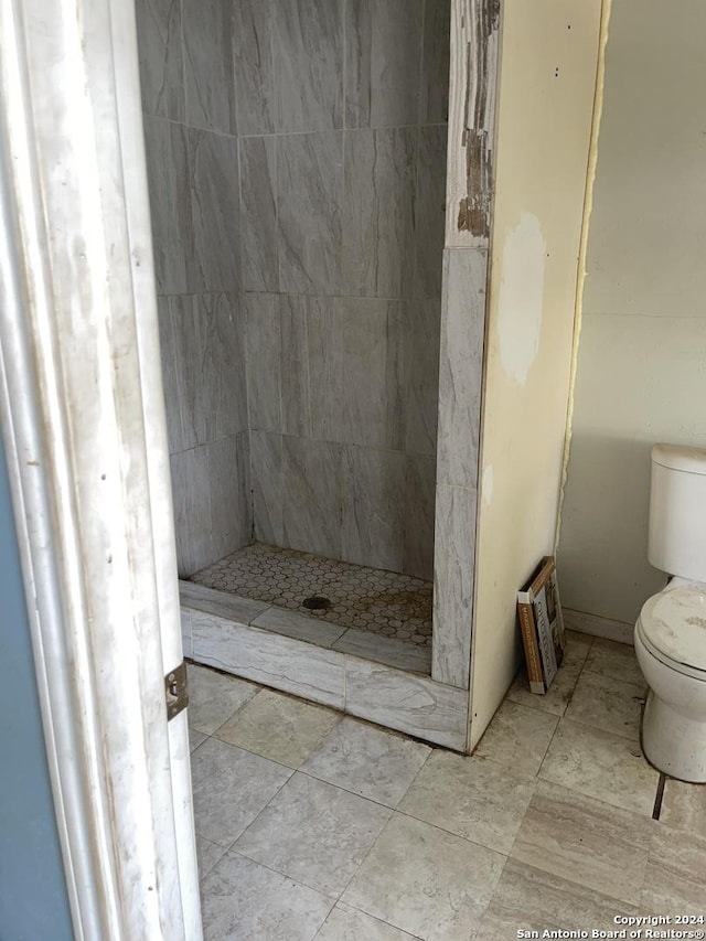 full bath featuring toilet and a shower stall
