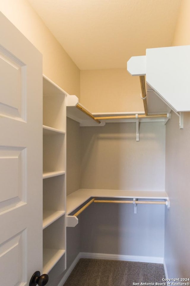 spacious closet featuring carpet flooring