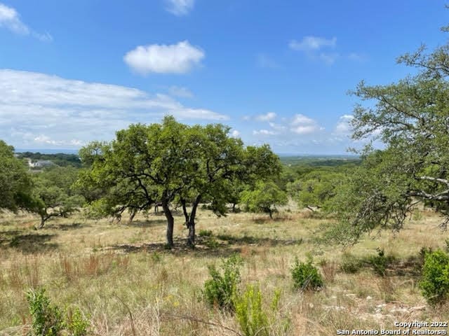 Listing photo 3 for 1074 Madrone Rd, Fischer TX 78623