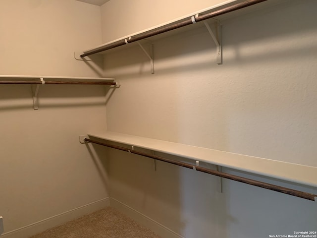 walk in closet with carpet