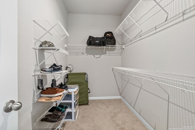 spacious closet featuring carpet