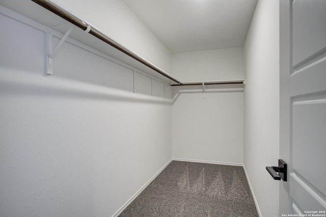 6934 Comanche Cave, San Antonio, TX 78233 - walk in closet with carpet flooring