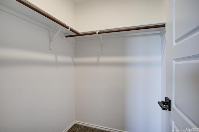 6934 Comanche Cave, San Antonio, TX 78233 - spacious closet with carpet floors