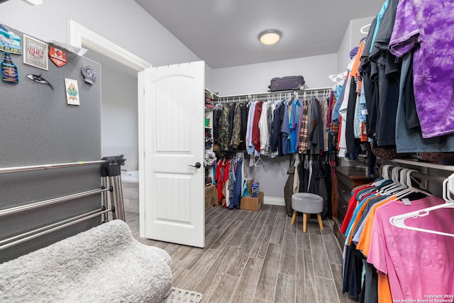 spacious closet with hardwood / wood-style flooring