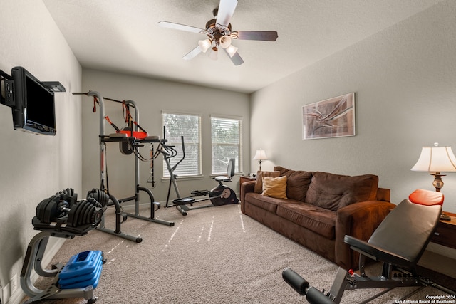 exercise area featuring ceiling fan and carpet floors