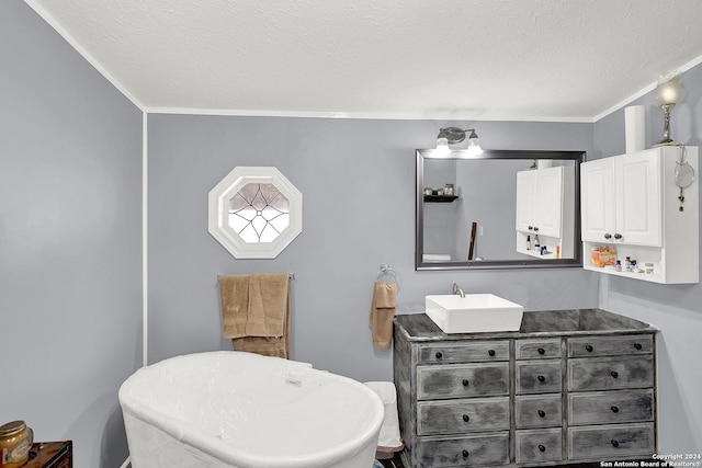 bathroom featuring vanity and a textured ceiling