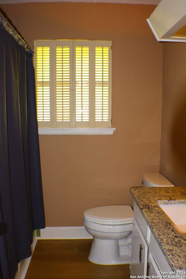 bathroom featuring vanity, toilet, and hardwood / wood-style flooring