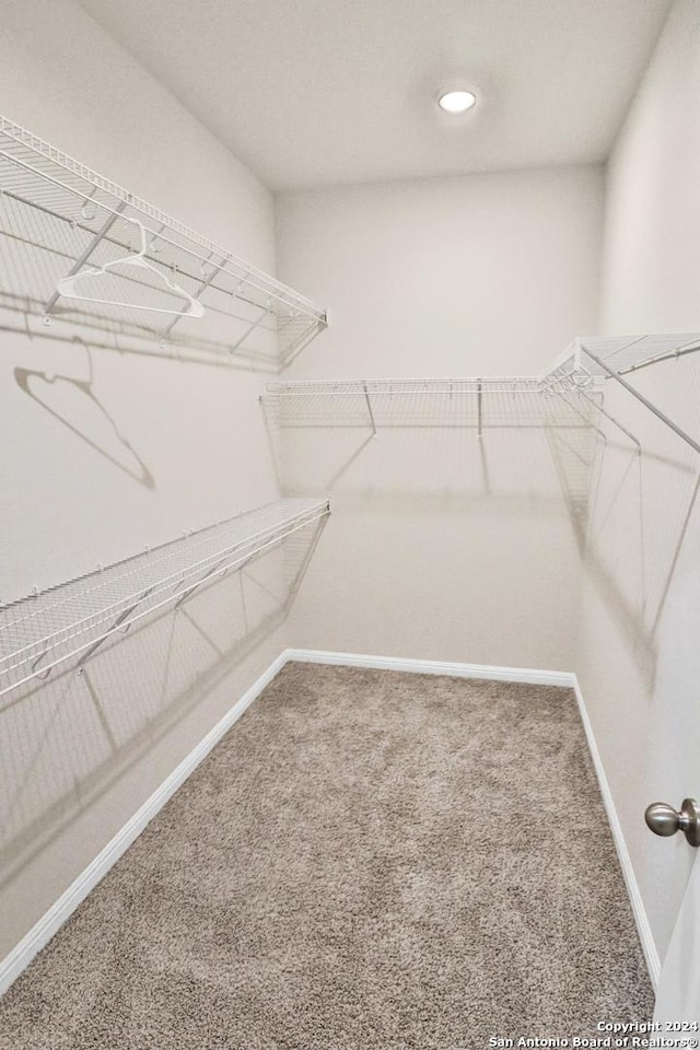 walk in closet featuring carpet floors