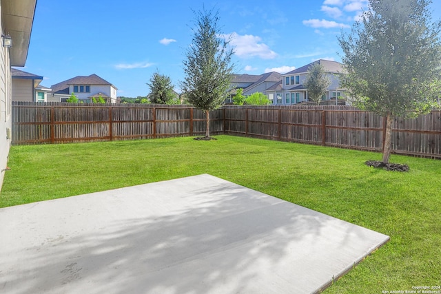 view of yard featuring a patio area