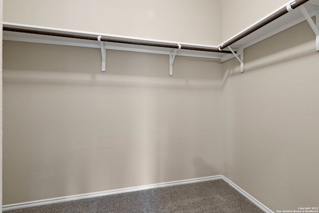 walk in closet featuring carpet flooring