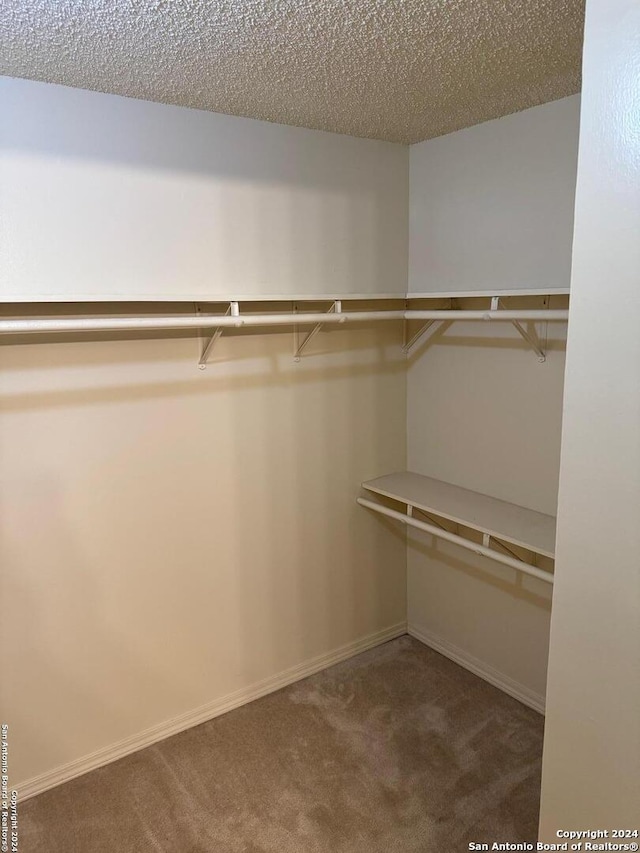 walk in closet featuring carpet