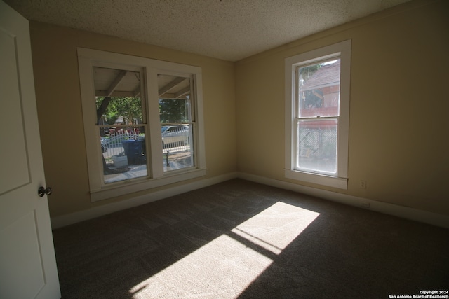 spare room featuring a textured ceiling, dark carpet, and plenty of natural light