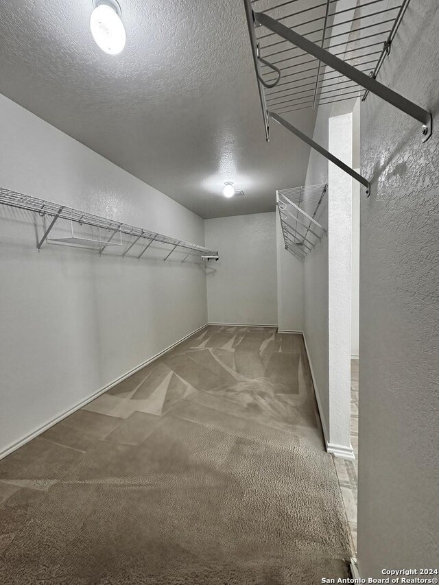 spacious closet featuring carpet