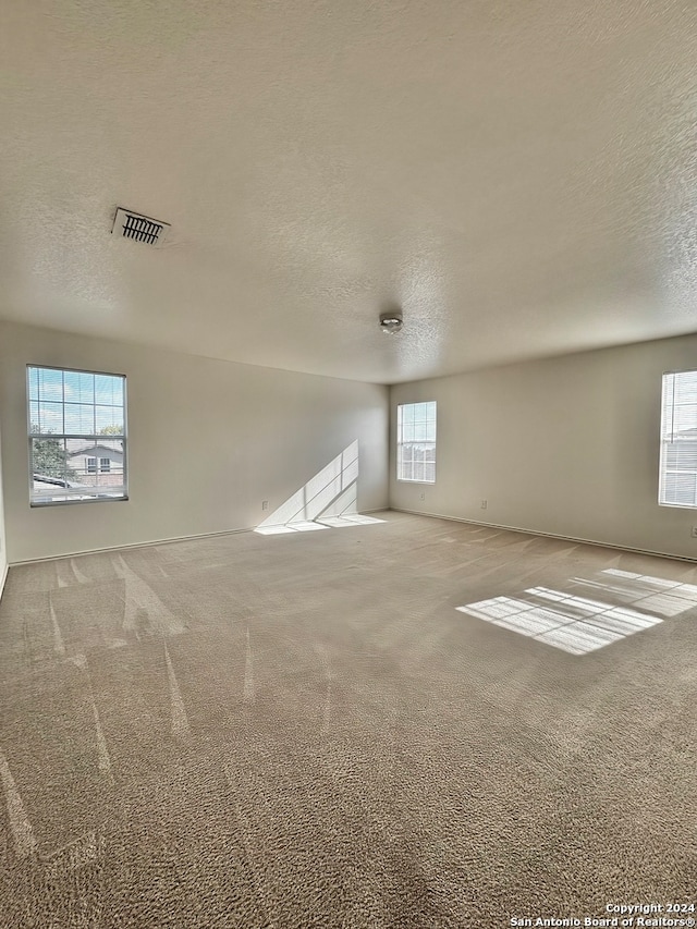 carpeted empty room with a wealth of natural light and a textured ceiling