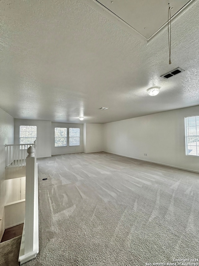 empty room featuring carpet floors, a wealth of natural light, and a textured ceiling