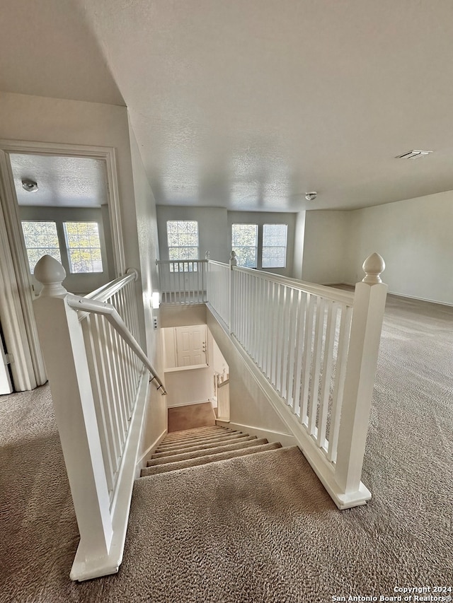 stairway with carpet floors