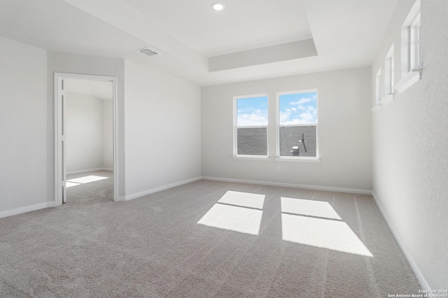 empty room featuring light colored carpet and a raised ceiling