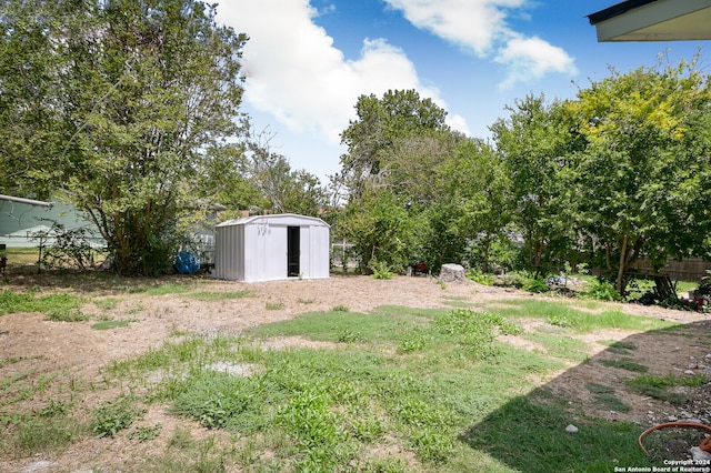 view of yard featuring a shed