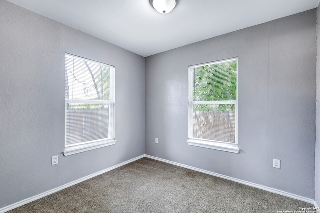 empty room with carpet flooring and plenty of natural light