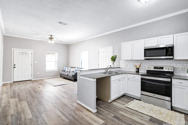 kitchen with light hardwood / wood-style flooring, appliances with stainless steel finishes, sink, and ceiling fan