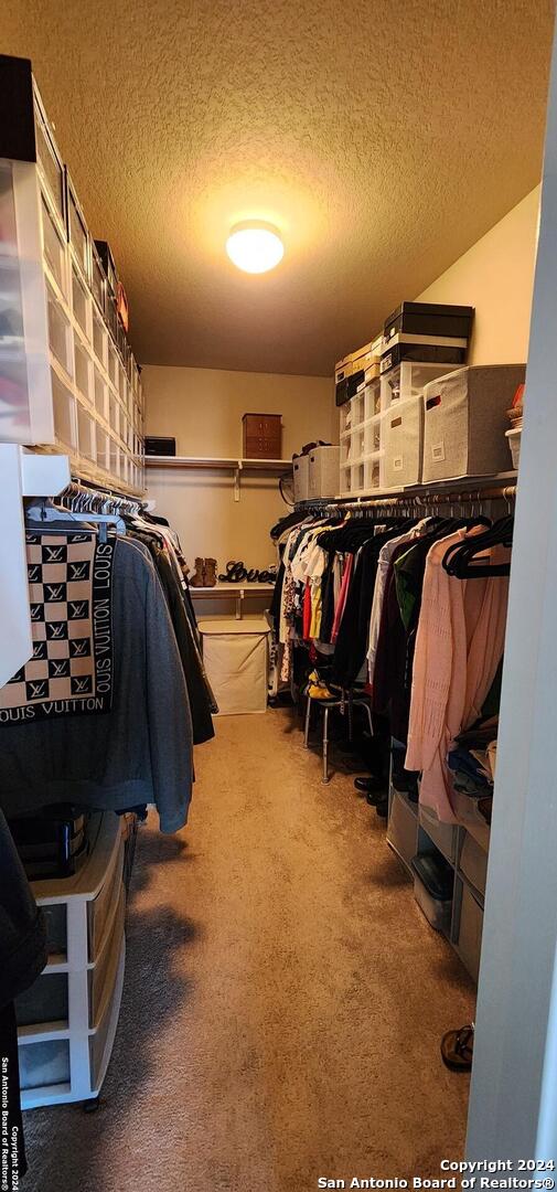 walk in closet featuring carpet flooring