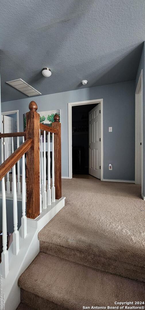 staircase featuring carpet floors and a textured ceiling