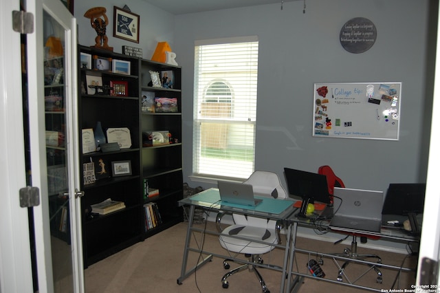 office space with carpet flooring