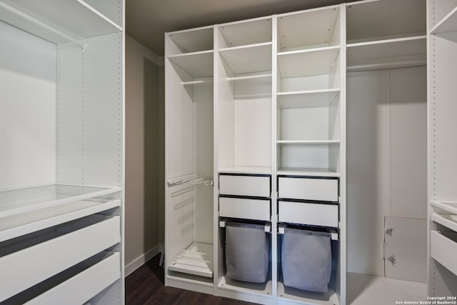 spacious closet featuring dark hardwood / wood-style floors