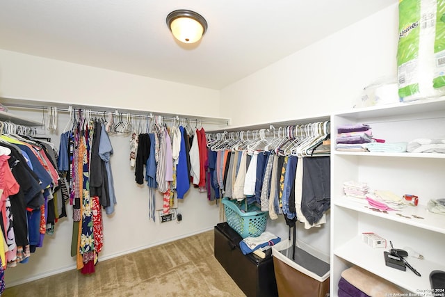 walk in closet featuring light colored carpet