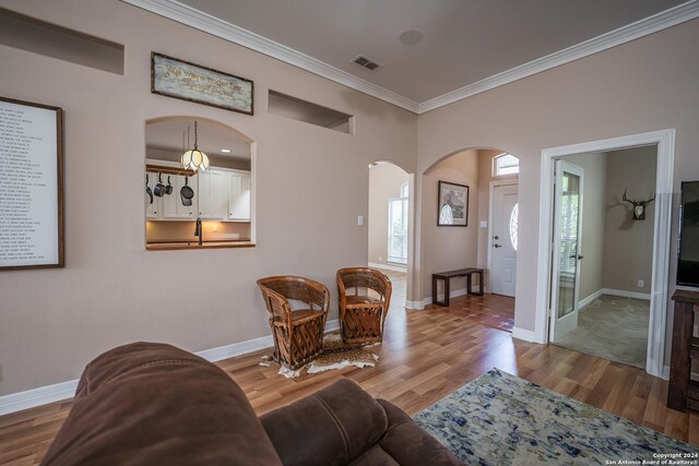 living room with sink, ornamental molding, and light hardwood / wood-style floors