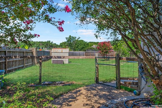 view of yard