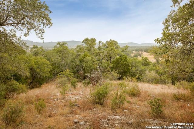 31045 Johnson Way, Bulverde, TX 78163