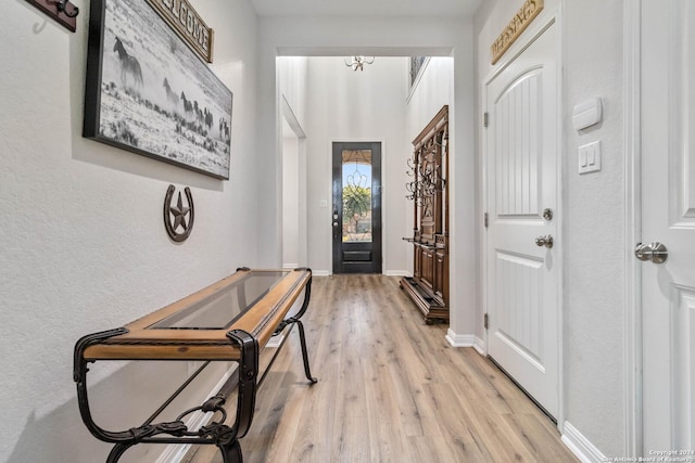 entrance foyer featuring light hardwood / wood-style floors