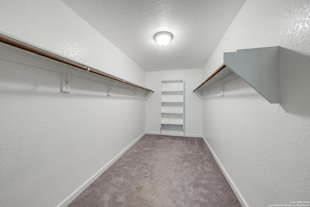 spacious closet featuring carpet floors