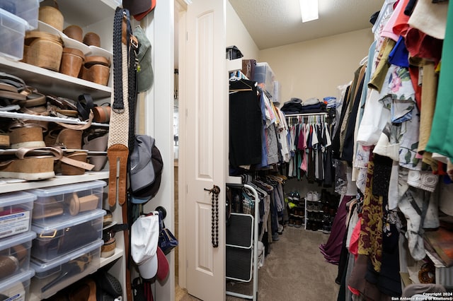 spacious closet featuring carpet