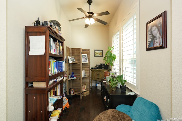 living area featuring ceiling fan, vaulted ceiling, and dark hardwood / wood-style floors