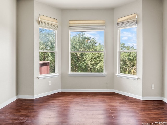 empty room featuring dark wood-type flooring