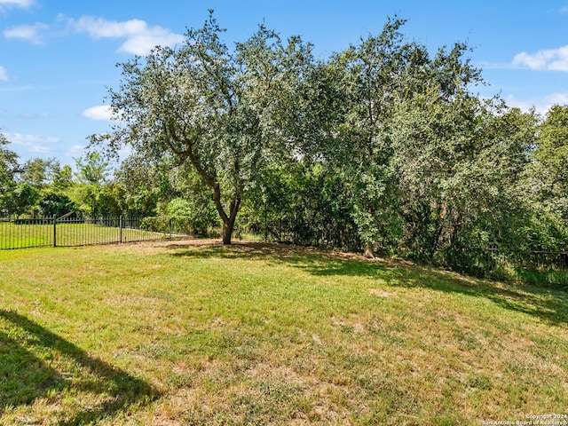 20615 Cliff Park, San Antonio, TX 78258 - view of yard