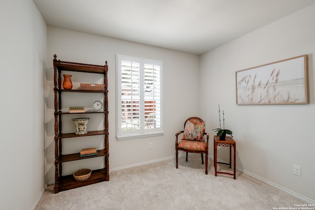 living area with light carpet