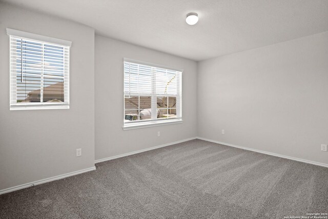 spare room with carpet