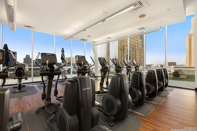 exercise room with a wall of windows and wood-type flooring